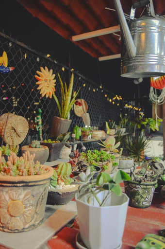 Food & Drinks 5, Hostal Guadalajara, Guadalajara