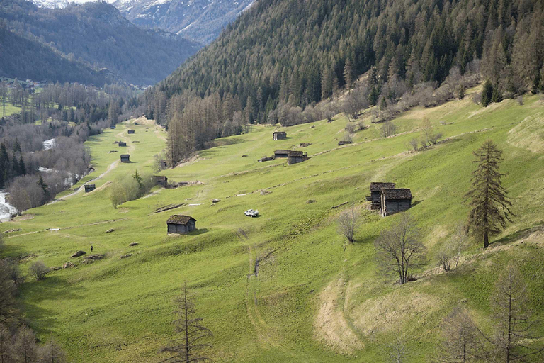 Others 5, Anakolodge, Hérens