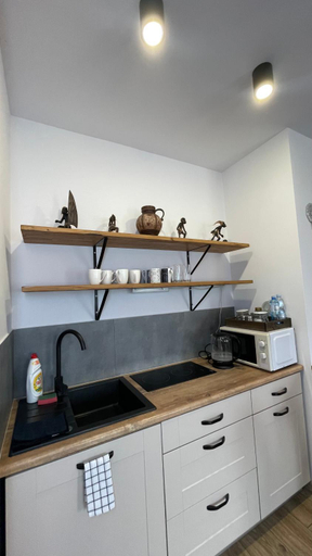 Others 2, Apartamenty Lesna Osiem, Jelenia Góra