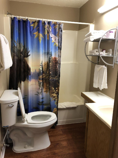Bathroom 3, Blue Moon Resort and Motel, Aitkin