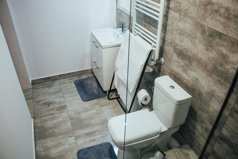 Bathroom 2, Pensiunea Casa Maia, Neagra Sarului