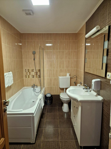 Bathroom, Popas Dumbravita, Milcovul