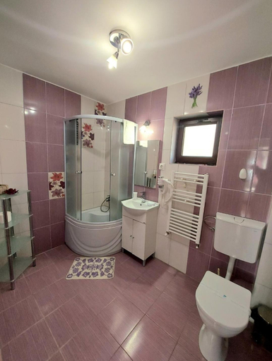 Bathroom 3, Casuta cu Trandafiri, Slanic