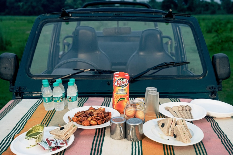 Food & Drinks 5, Aalia Jungle Retreat and Spa, Hardwar