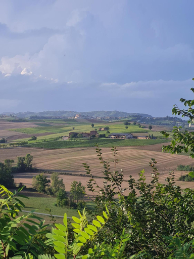 Others 5, A casa di Bianca, Asti