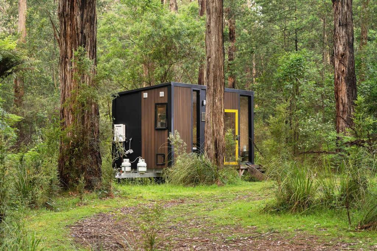 Others 5, Quantum Field by Tiny Away, Murrindindi - West