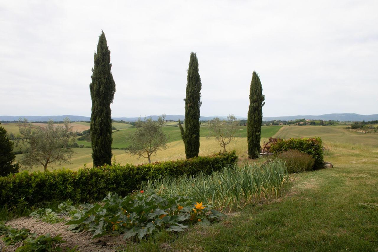 Others 4, La Capanna di Elfo luxury villa View, Siena