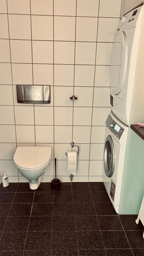 Bathroom, Seaview and swimming, Copenhagen