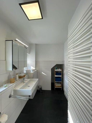 Bathroom 2, komfortable Ferienwohnung in Halle-Krollwitz, Halle (Saale)