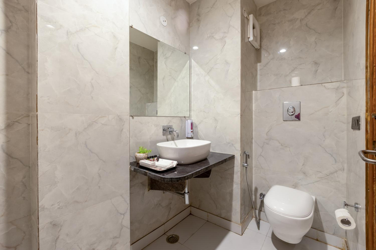 Bathroom 3, Hotel The RTS Plaza , Delhi