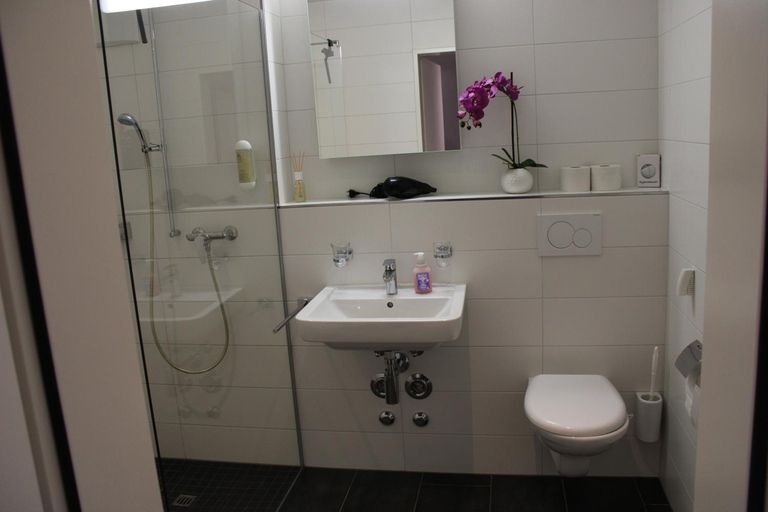 Bathroom, Business Apartment Turgi, Baden