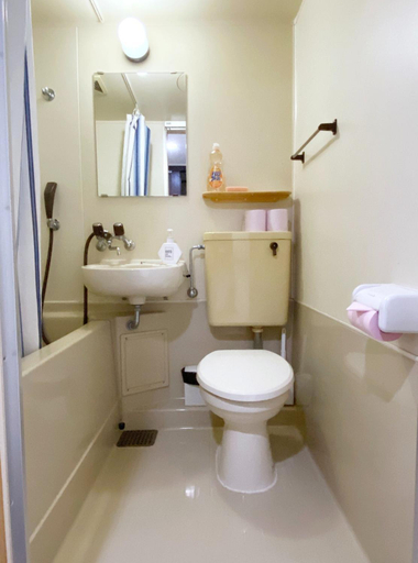 Bathroom 3, Flat piece chair house - Vacation STAY 40368v, Onna