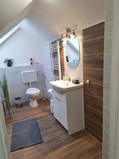 Bathroom, Varfal apartman I, Eger
