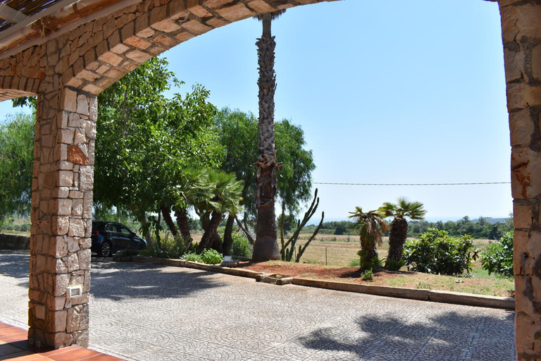 Others 5, Villa Li Munti con piscina, Lecce