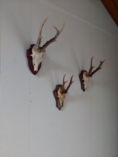 Others 5, Chalet 182 La Boverie Rendeux - La Roche, Luxembourg