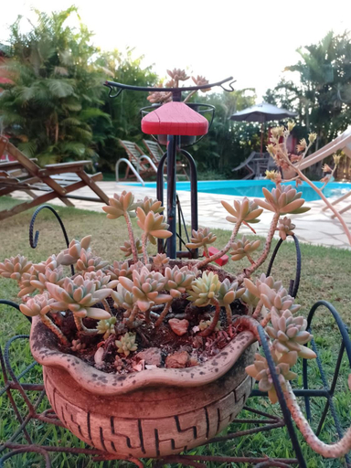 Food & Drinks, Pousada Jardim do Eden, Santana do Riacho