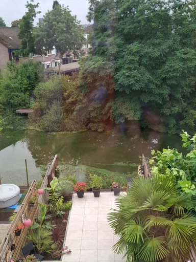 Others 2, Studio 76 Groningen met gratis leenfietsen, Groningen