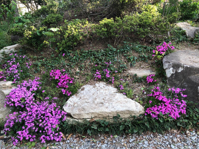 Others 5, Fukurou no Oyado - Vacation STAY 71246v, Fuefuki