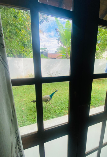 3, Villa 2A, Matara Four Gravets