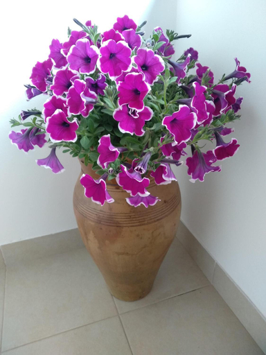 Others 5, Alcamo Rooms con GARAGE privato, Trapani