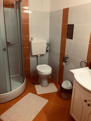 Bathroom 4, Pensiunea Paradis Vrancean, Cotesti
