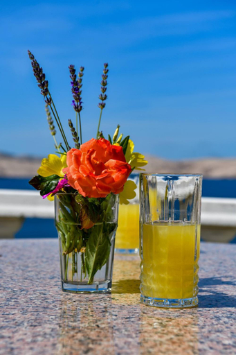Food & Drinks 5, Villa Lilly, Karlobag