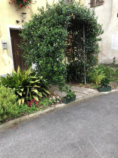 Others 5, Il Casale del Miele, Udine