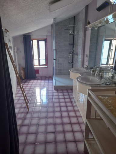 Others 3, l orchidee, Allier