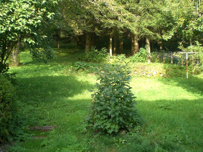 Others 5, Villa Prairie Mont-Dore 7 Appartements, Puy-de-Dôme