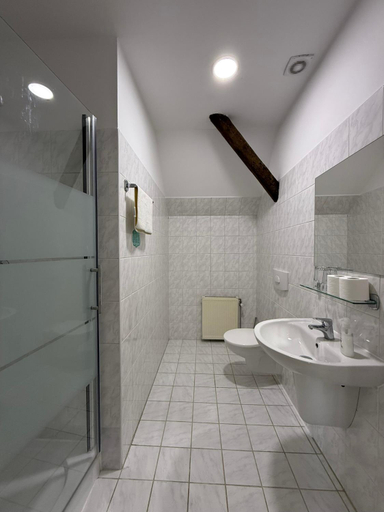 Bathroom 3, Bechneruv statek, Rakovník