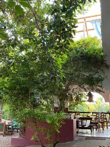 Food & Drinks 4, Darwesh Nyumba Lodge, Kaskazini 'A'