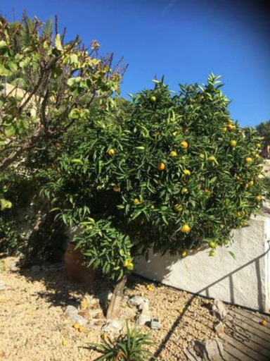 Others 5, Charming Villa in Montemar with private pool and sea views, Alicante