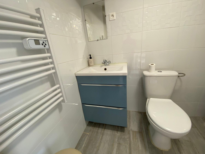 Bathroom, Logement proche Lyon-aeroport-Centrale Bugey, Ain
