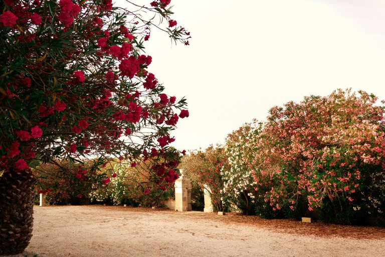 Others 2, Masseria Specchiulla, Lecce