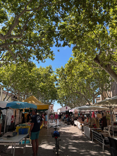 Food & Drinks, Cote Nuit, Hérault