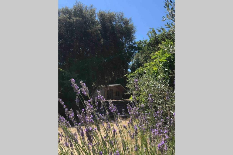 2, Ma petite cabane Gites des oliviers, Gard