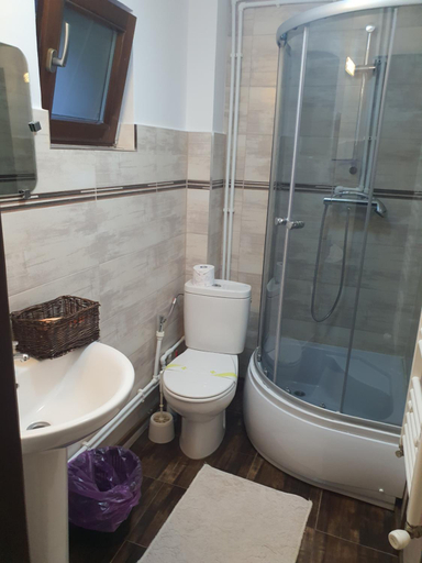 Bathroom, Casa Sofia Bucovina, Vatra Moldovitei