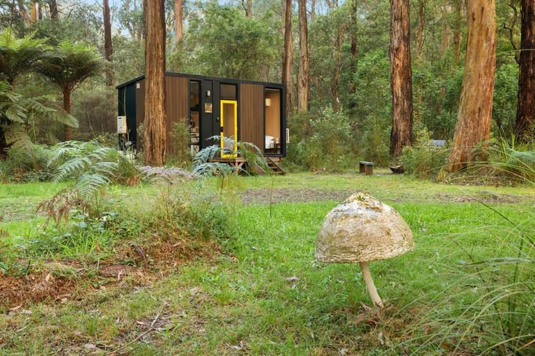 Others 3, Quantum Field by Tiny Away, Murrindindi - West