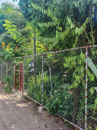 Others 5, Casa Caribe, Pococí