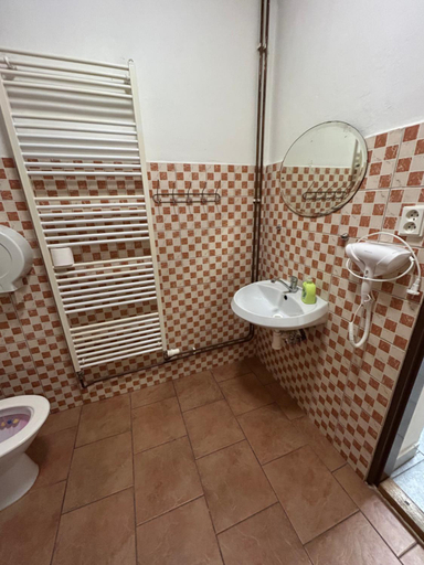 Bathroom 5, Penzion u Fika, Ostrava