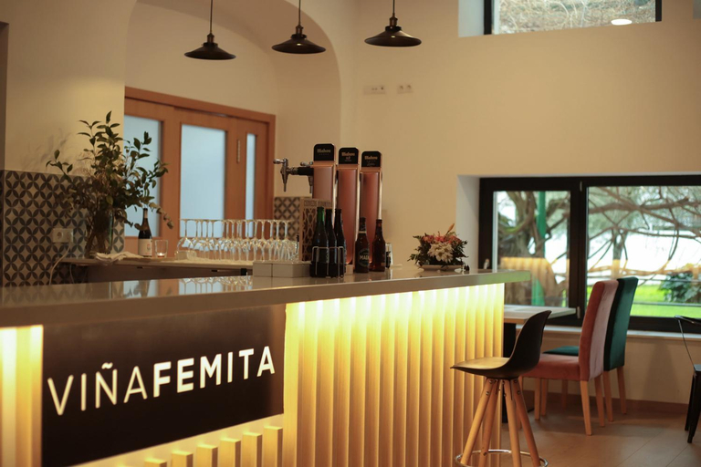 Food & Drinks, Vina Femita, León