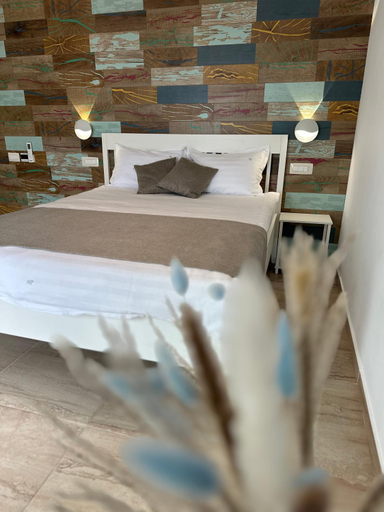 Others 5, Halta Pescarus Accommodation, 23 August