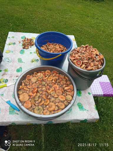 Food & Drinks, Pokoje u Roberta, Węgorzewo