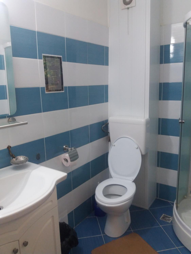 Bathroom 5, Pensiunea Paradis Vrancean, Cotesti