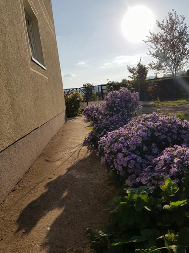 Others 5, Apartmani Petrovic - 3 cozy family apartments, Bajina Bašta