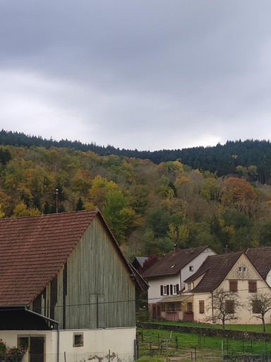 View, Les studios du frankenthal, Haut-Rhin