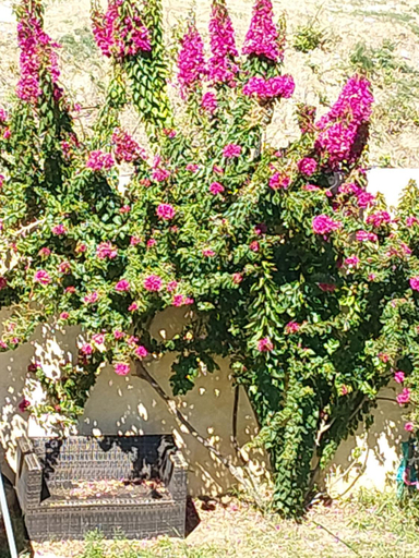 Others 2, John's villa Corfu Chrisiida Sea view, Ionian Islands