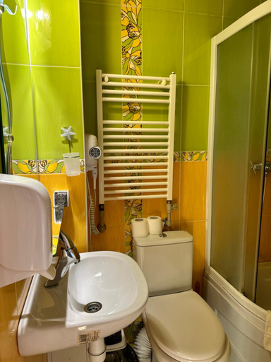 Bathroom 3, Будинок Художника Шипіт, Mizhhirs'kyi