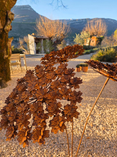 Others 5, Mas Tulipe de Soie, Alpes-de-Haute-Provence