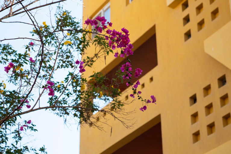 Others 2, Al Dora Boutique Hotel, Al-Ghurdaqah